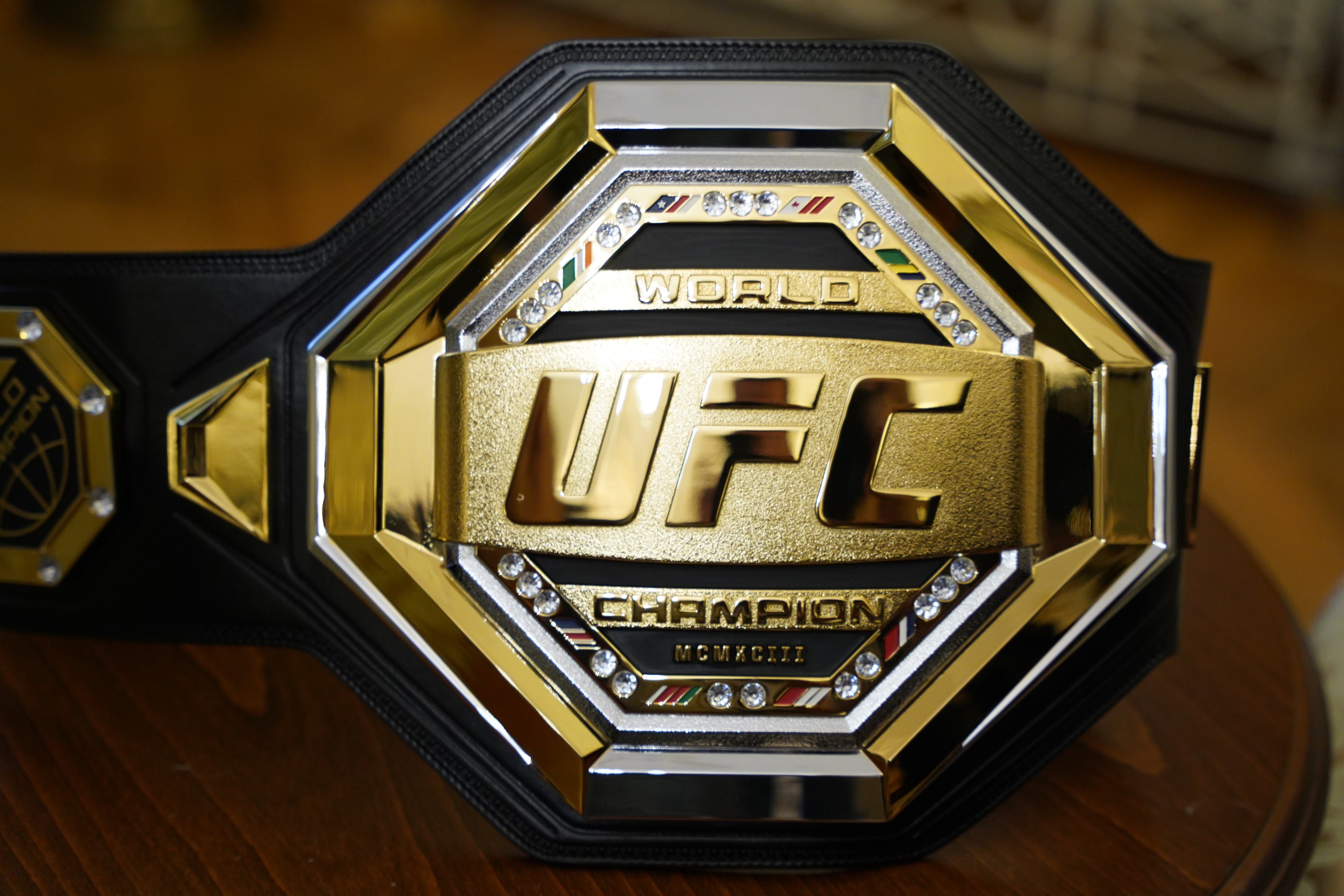 UFC Beograd: Spektakl u Areni, 9 naših boraca na velikoj sceni, Medić, Rakić, Čepo, Janičić, Todorović...