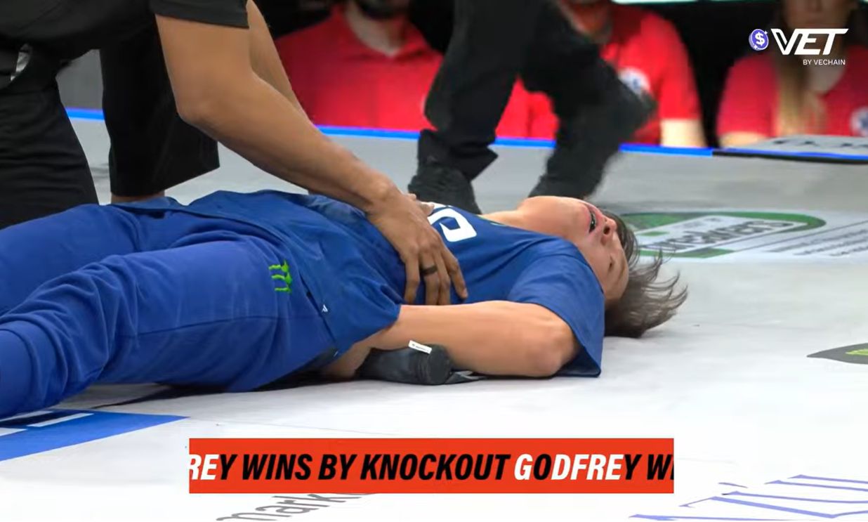 Surov nokaut u Beogradskoj areni: Grdosija ostala da leži bez svesti posle šamara!