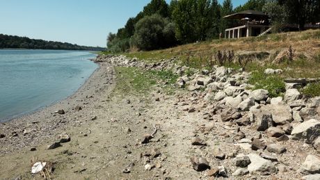 Nizak vodostaj Dunava, Dunav, Bačko Novo Selo, Viktrorija Balić, Milan Memišević