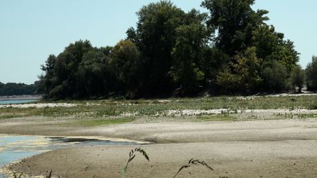 Nizak vodostaj Dunava, Dunav, Bačko Novo Selo, Viktrorija Balić, Milan Memišević