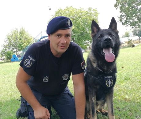 Pas Koje naso Telo, Ubistvo Ljudmila, Borča, Kofer