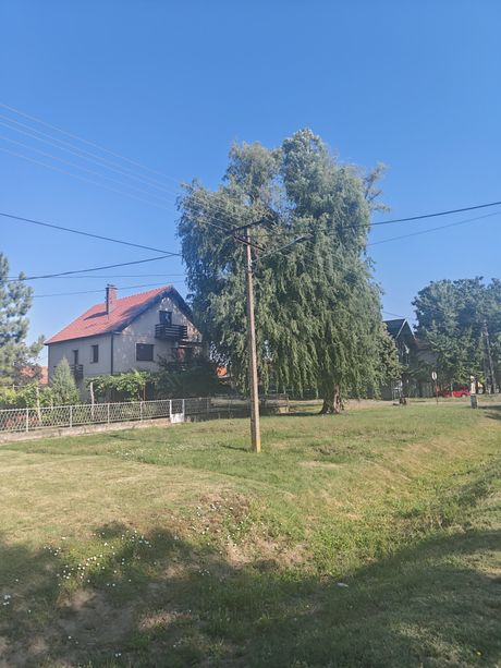 Banatski karlovac,  Ubijeni Aleksandar Ilic
