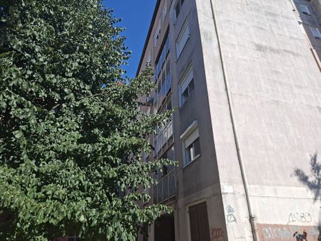 Bežanija nesreća, tela brata i sestre