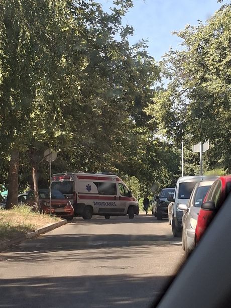 Bežanija nesreća, tela brata i sestre