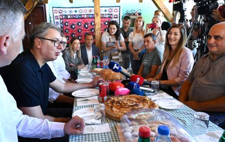 Aleksandar Vučić, Temska, Pirot