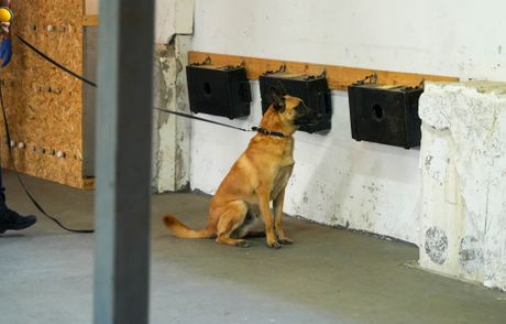 Ministar Dačić, Policijska brigada
