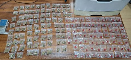 Droga Dobanovci diler hapšenje