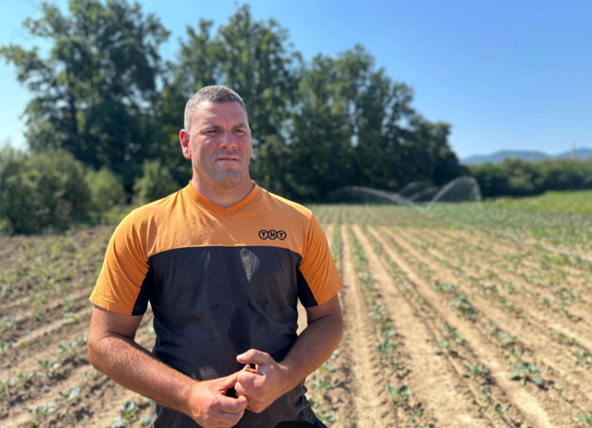 Srđan ima hektare pod kupusom, sistemi za navodnjavanje rade bez prestanka: "Voda nam je najvažniji saveznik"