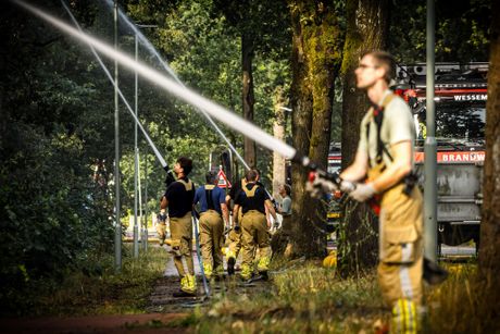 Nemačka Holandija granica prirodni rezervat šumski požar Boschhuizerbergen