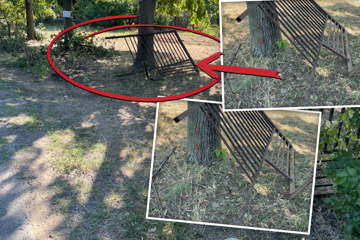 OVDE JE STRADAO MIHAJLO (22) : Cveće, sveće i razbacani delovi vozila na mestu tragedije kod Sopota (FOTO)