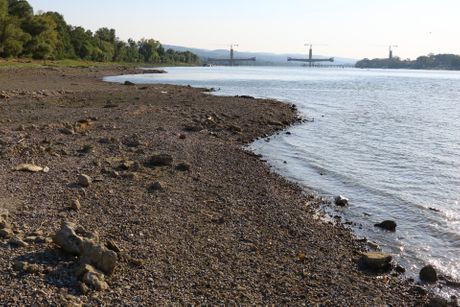 Dunav kod NS Novog Sada  i Futoga