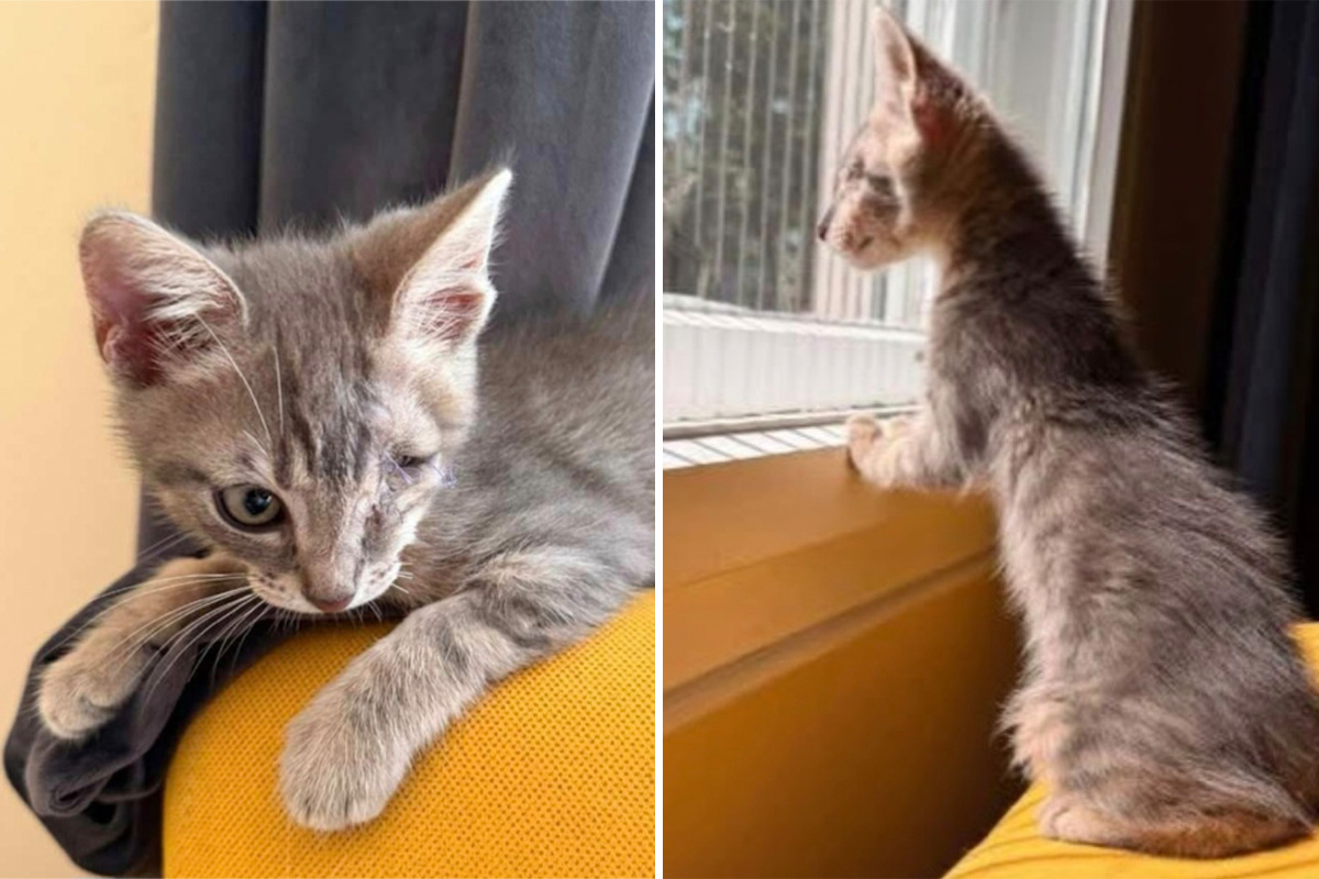 Pirat ima samo jedno oko, ali srce mu je ogromno: Hoće li ovoga puta neko videti baš njega?