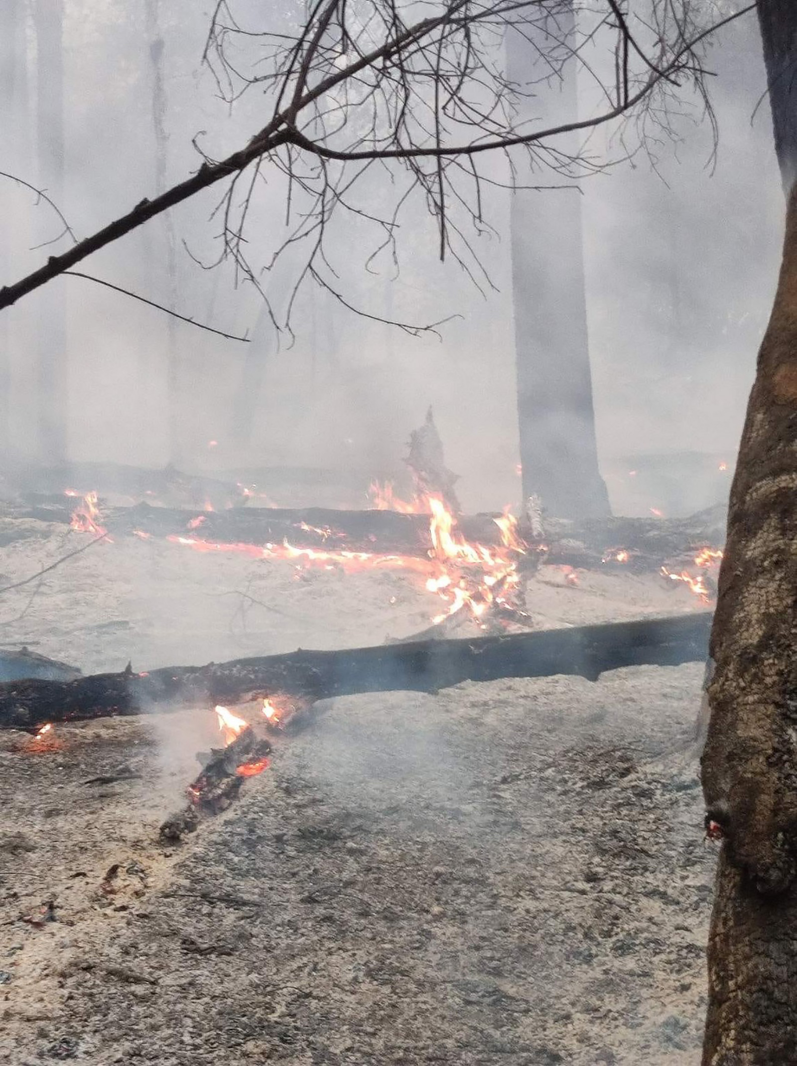 Vatra stigla do naselja Čardak u Deliblatskoj peščari, zahvaćene kuće