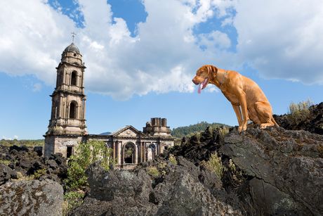 Nuevo San Huan Parangarikutiro