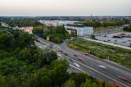 AFI Zmaj
