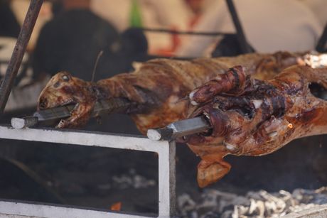 Guča, Sabor trubača