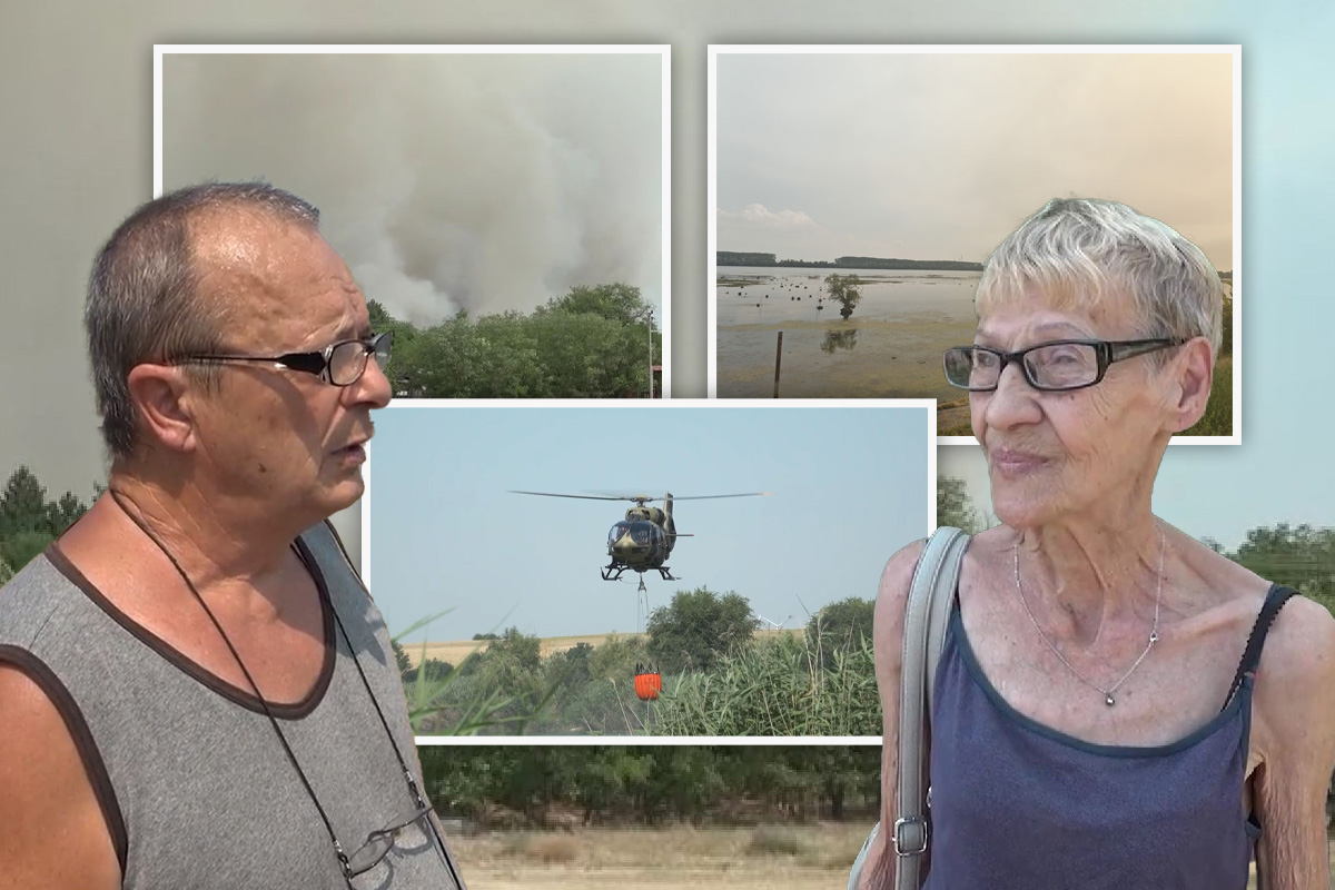 "Samo sam mu htela hranu da odnesem" Meštanka se vratila u pakao Deliblatske peščare zbog svog ljubimca
