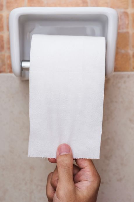 WC, toalet-papir, velika nužda