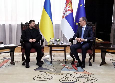 Vlodimir Zeleneski, Đuro Macut