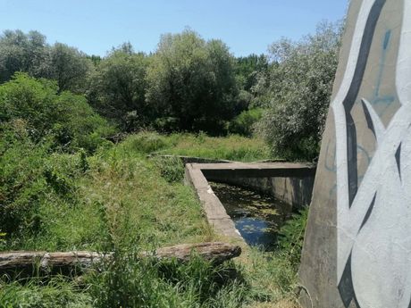 Utapanje Borča