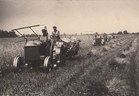 Žetva u Bačkom Petrovcu, druga polovina 1940-ih, seljačka radna zadruga „Boris Kidrič“
