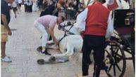 Potresne scene uoči Sinjske alke: Konji pali usred centra grada, svi su u šoku (VIDEO)
