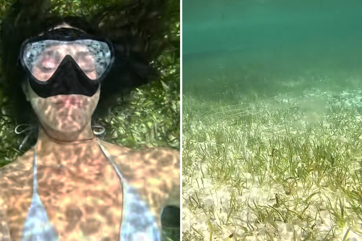 Mislila da je bezbedna na zabačenoj plaži, a onda je usledila drama: Devojka pokazala jezive povrede po telu