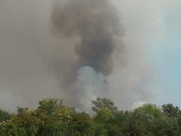 Deliblatska pescara pozar Šumarak