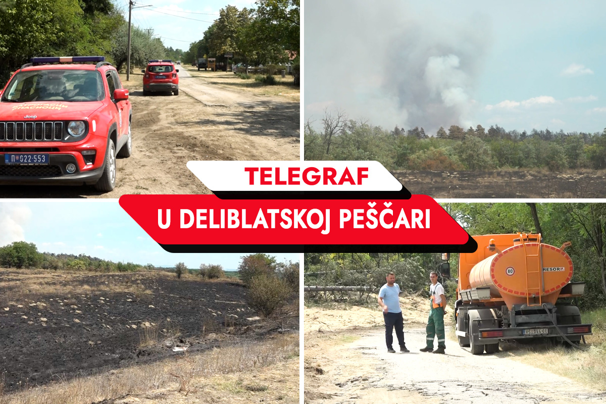 GORELO DOK SMO STAJALI TAMO: Reporteri Telegrafa u paklu Deliblatske peščare!