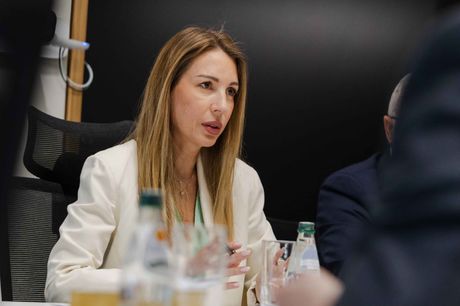 Dubravka Đedović Handanović