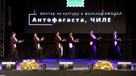Srem Folk Fest