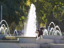 Beograd vreme leto vrućina