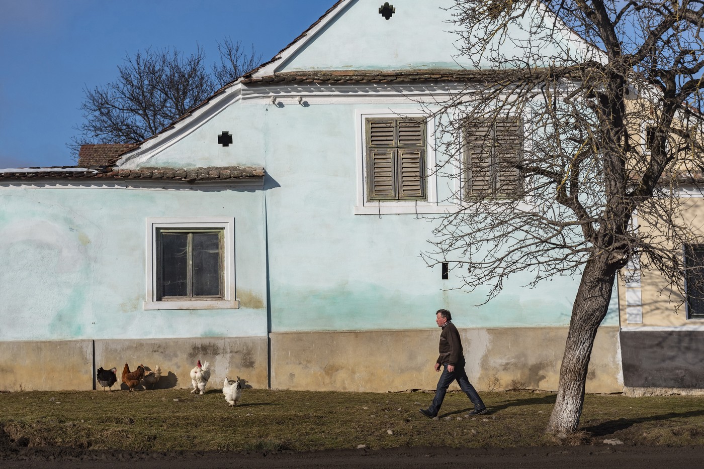 Petra i komšije u selu svake noći budi jeziva buka: Ne znaju ko je pravi, pa stražare sa vilama i motkama!