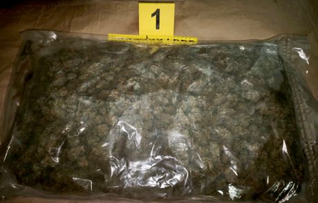 droga, marihuana, zaplena