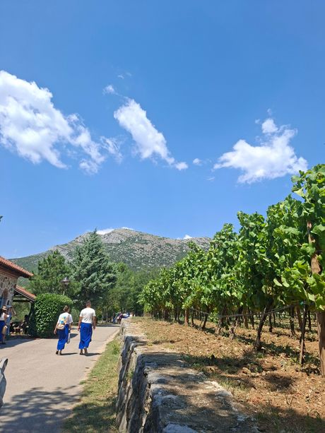 Manastir Tvrdoš, Trebinje, Vasilije Ostroški