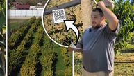 Kad su počeli da ga gaje, ljudi im se smejali: Danas porodici Mađerić ovo egzotično voće puni kućni budžet