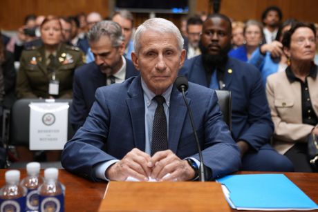 Anthony Fauci