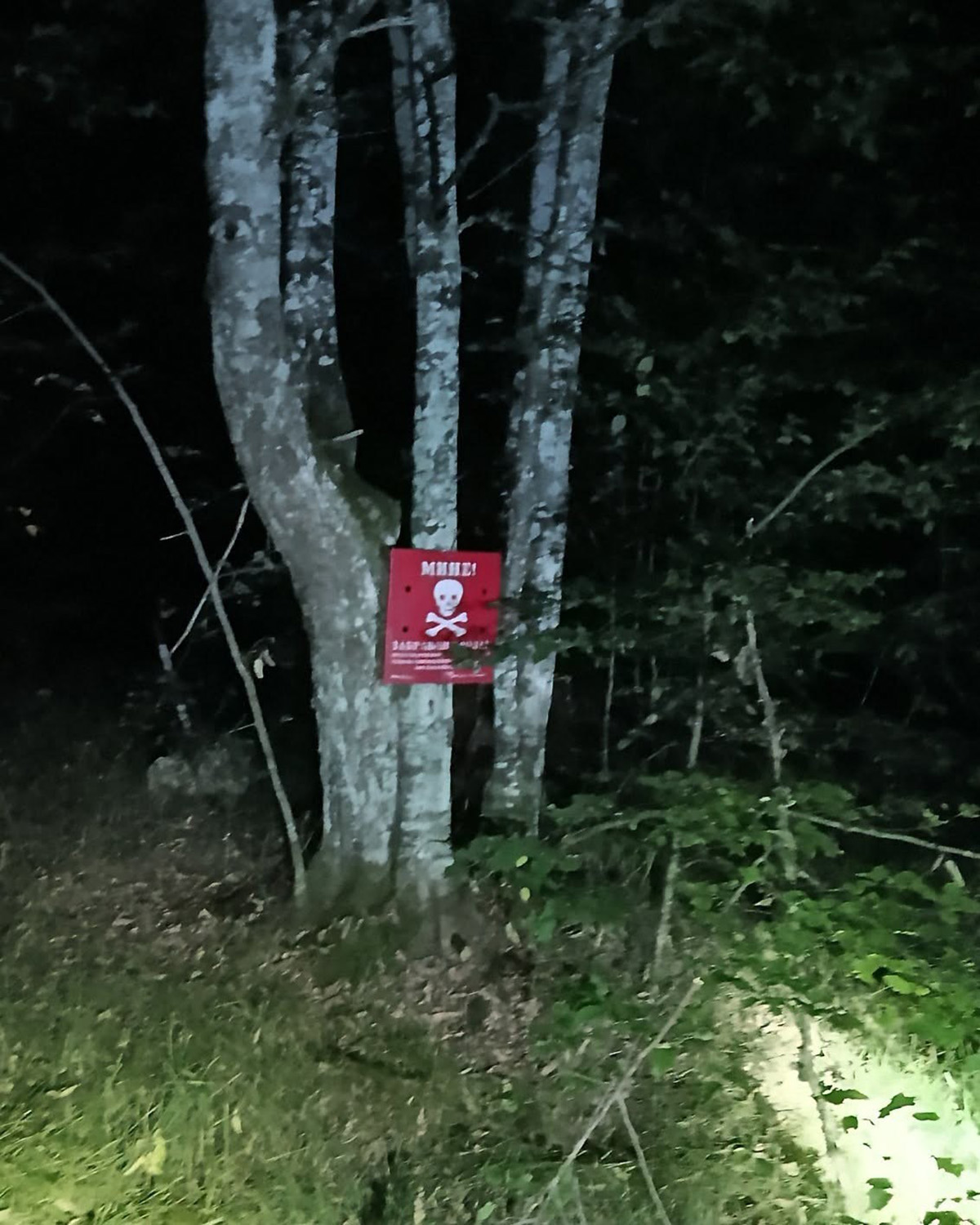 Drama u BiH: Par iz Poljske zalutao i zaglavio se u minskom polju