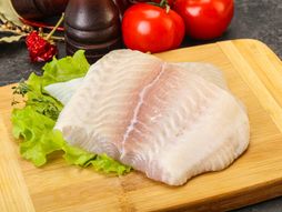 Pangasius, riba, pangasijus