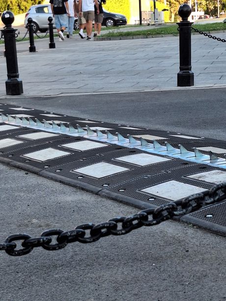 Ubice guma, šiljci za kontrolu saobraćaja, Skupština