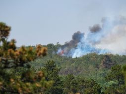 MUP,Saopštenje, Macut, Dačić,Čaušić, Deliblatska peščara
