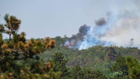 MUP,Saopštenje, Macut, Dačić,Čaušić, Deliblatska peščara