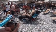 LEŠINAR UPAO NA PLAŽU PUNU TURISTA U OMILJENOM SRPSKOM LETOVALIŠTU! Neverovatni snimci iz Grčke