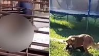 Ovo je Gabi, keruša ubijena u Mladenovcu iza pečenjare: "Imala je 9 meseci, deca su preplakala dan!"