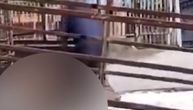 POLICIJA UPALA U PEČENJARU U MLADENOVCU! Uhapšen radnik koji je zverski ubio psa, meso poslato na pregled!
