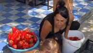 U Brestaču - domaćinski, sprema se zimnica: Darko Lazić zasukao rukave, Branka čisti papriku a Srna joj pomaže