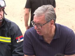 Aleksandar Vučić, Poseta