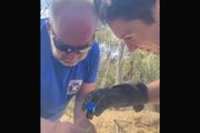 Prizor iz Deliblatske peščare topi srca! Vatrogasac usred vatre našao malo stvorenje, evo šta je odmah uradio