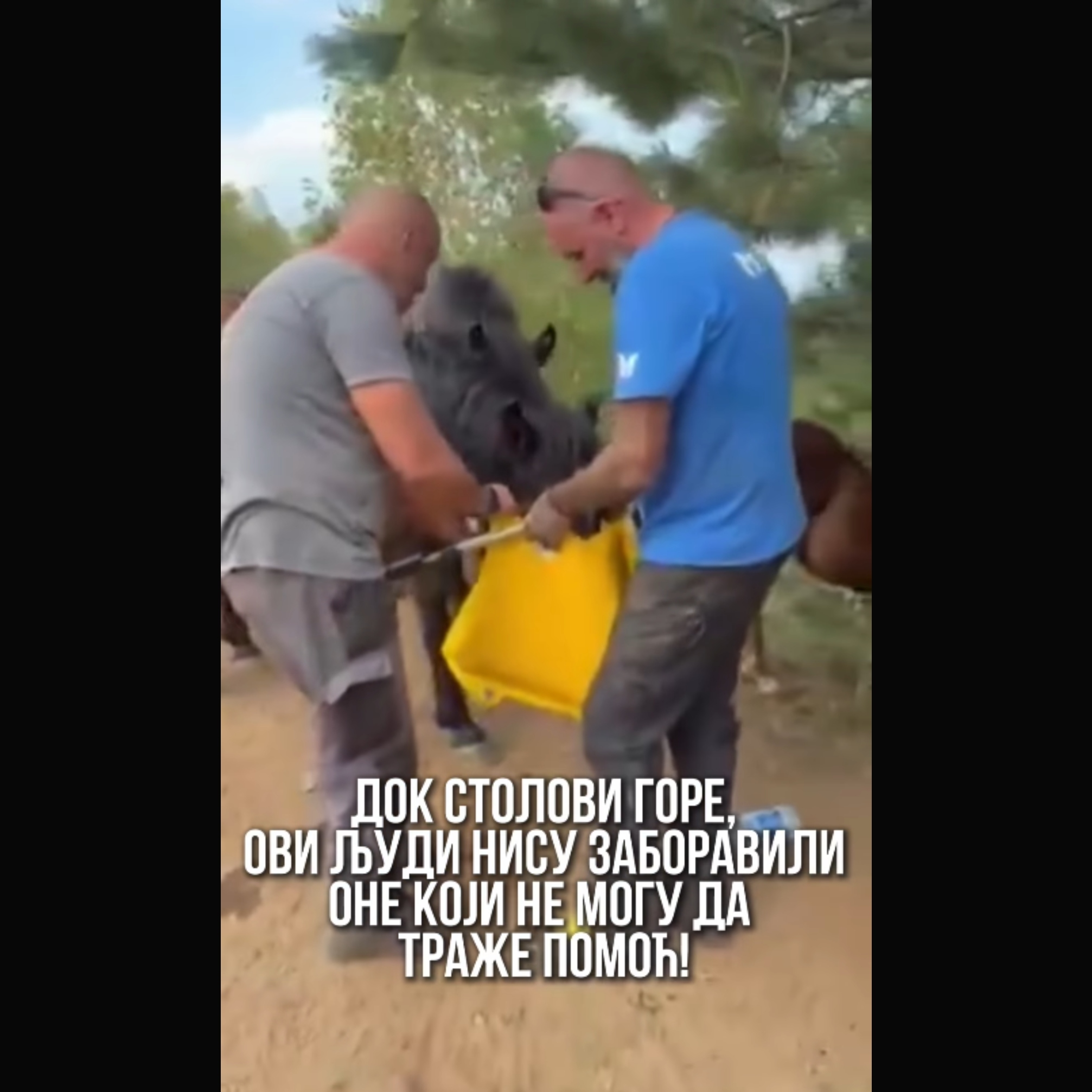 Dirljiv gest na Stolovima! Dok vatra guta sve pred sobom, dobri ljudi nisu zaboravili na NJIH