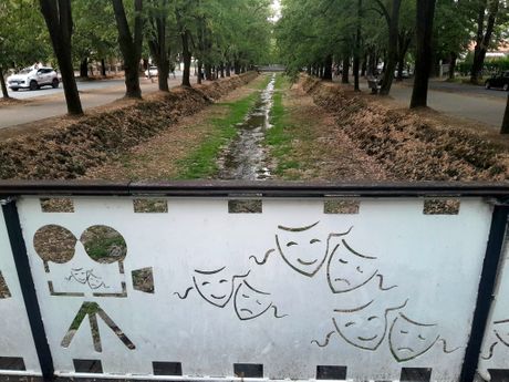 Mačak, mačka, Vrnjačka Banja